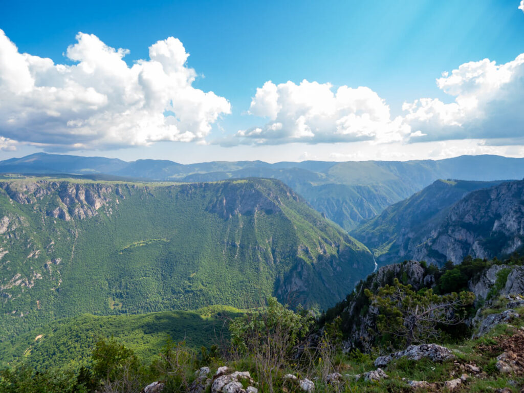 Layers of green mountains lining the Tara River Canyon, viewed from Ćurevac Peak.