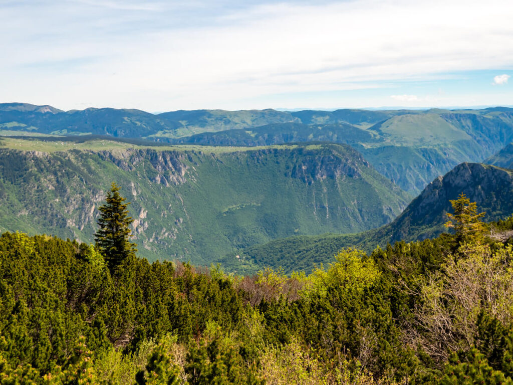The forest-clad steep walls of the Tara River Canyon viewed from a distance.
