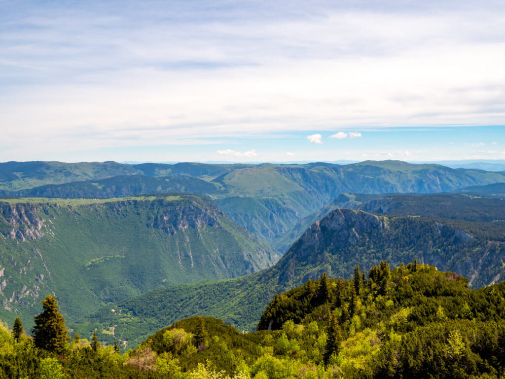 The deep gorge of the Tara River Canyon viewed from the Durmitor Ring Road.