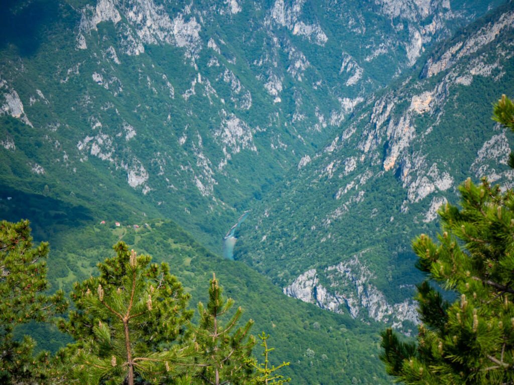 The turquoise Tara River snaking through a large green gorge in Durmitor National Park.