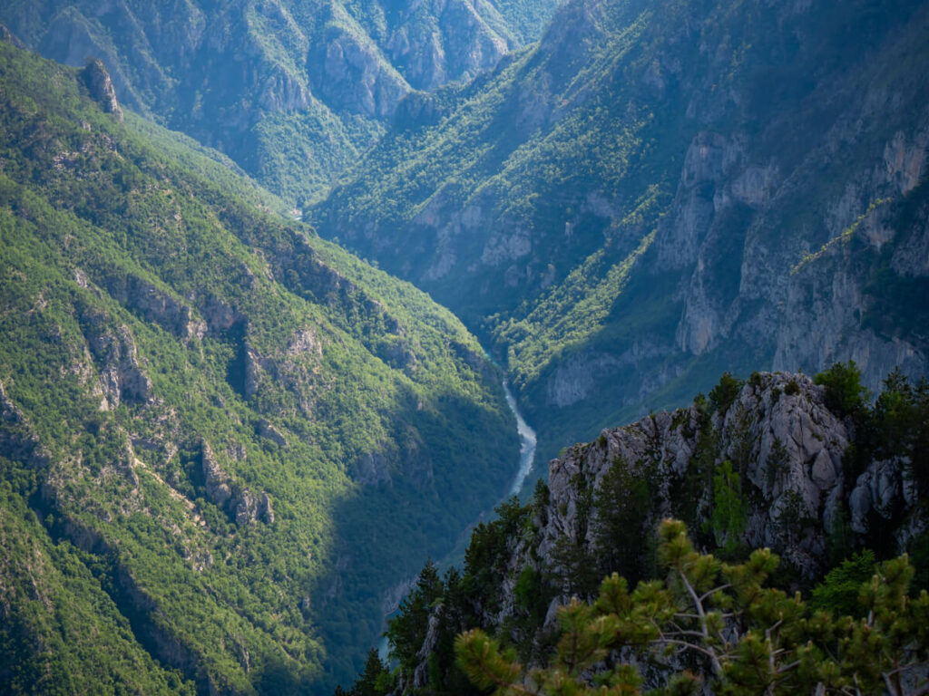 The Tara River snaking through a gorge in the Tara River Canyon, viewed from Ćurevac Peak.