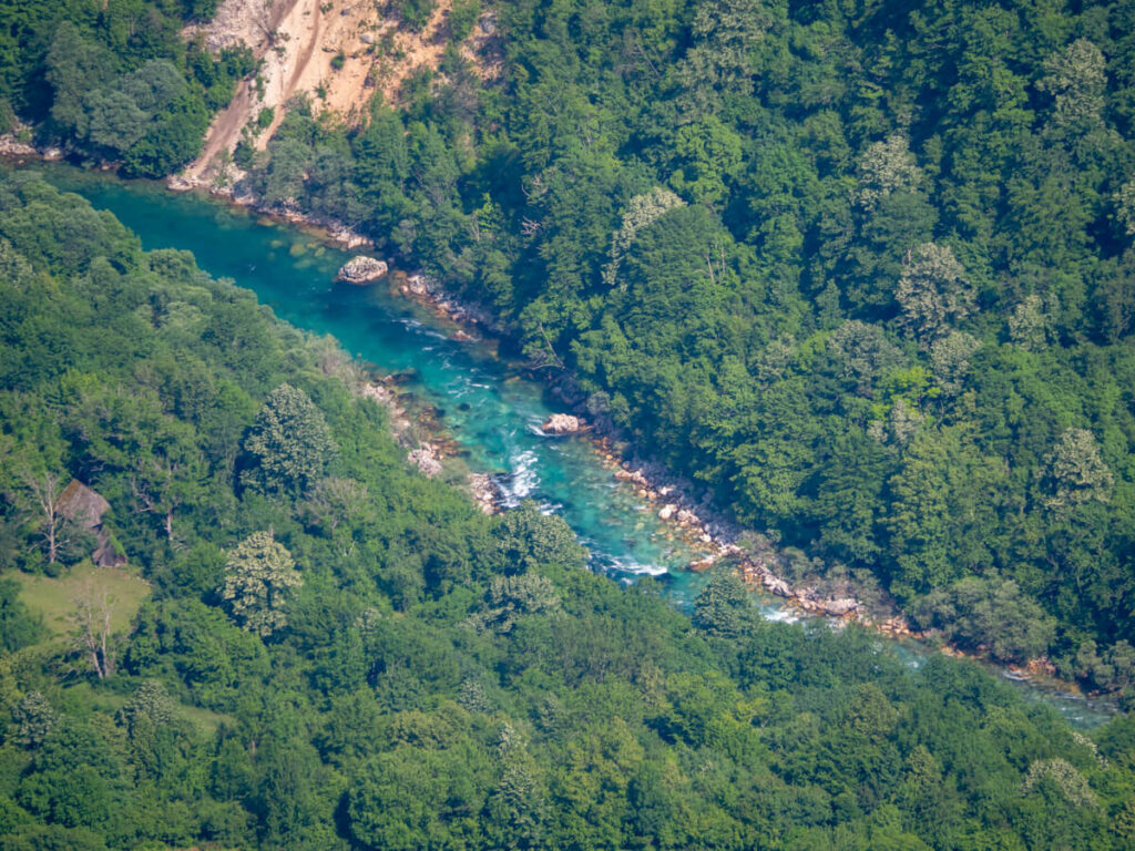 The sparkling turquoise Tara River flowing through a lush green gorge.