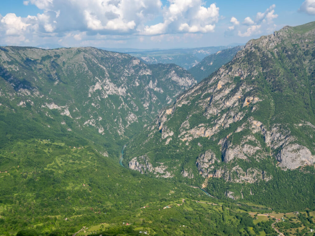 A turquoise river snaking through a large green gorge in the Tara River Canyon.