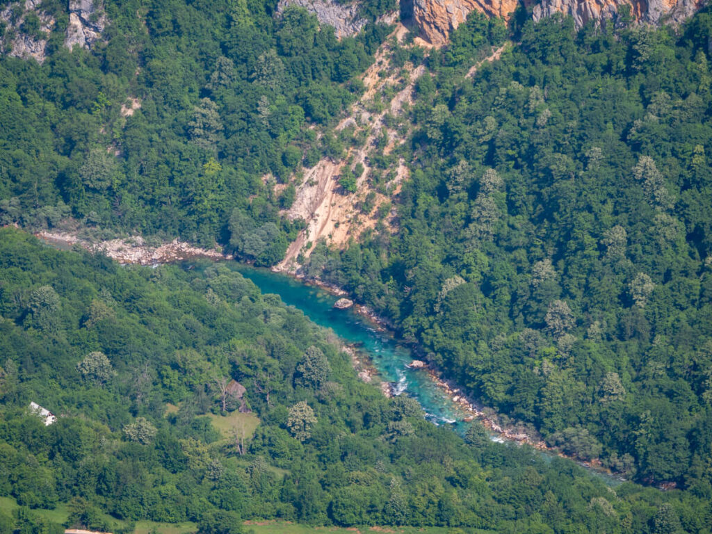 Tiny red rafts on a sparkling turquoise river running through a lush green gorge at the Tara River Canyon.