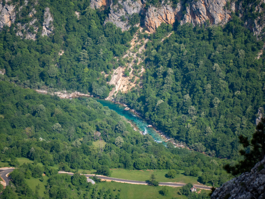 A blue river flowing through a green valley in the Tara River Canyon, viewed from the Ćurevac Trail.