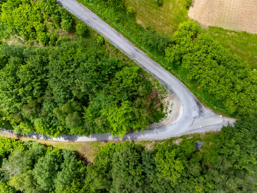 A road crurving through trees in Biogradska Gora National Park.
