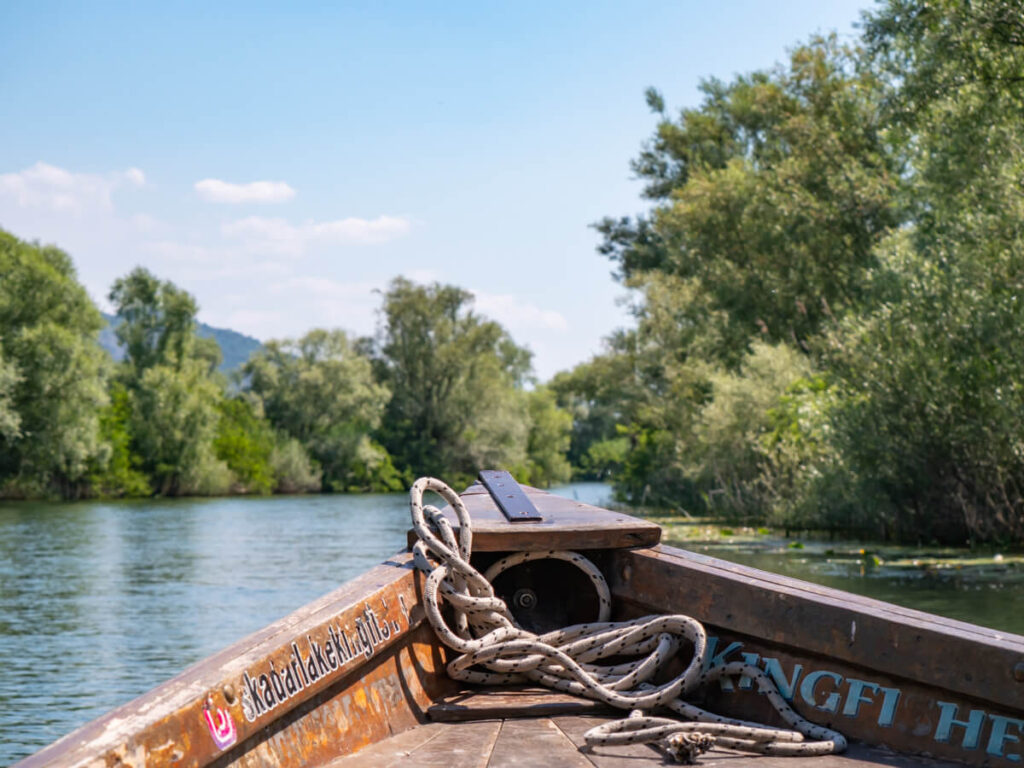 A river near Lake Skadar viewed from the front of a wooden boat.