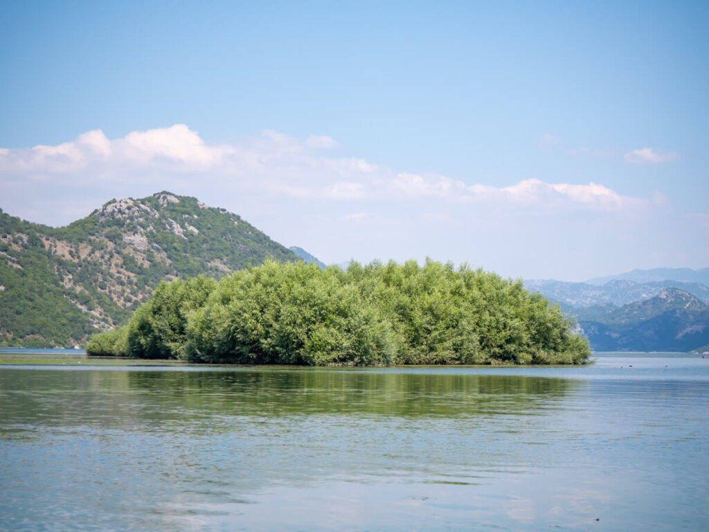 A small island covered in shrubbery in the middle of Lake Skadar.