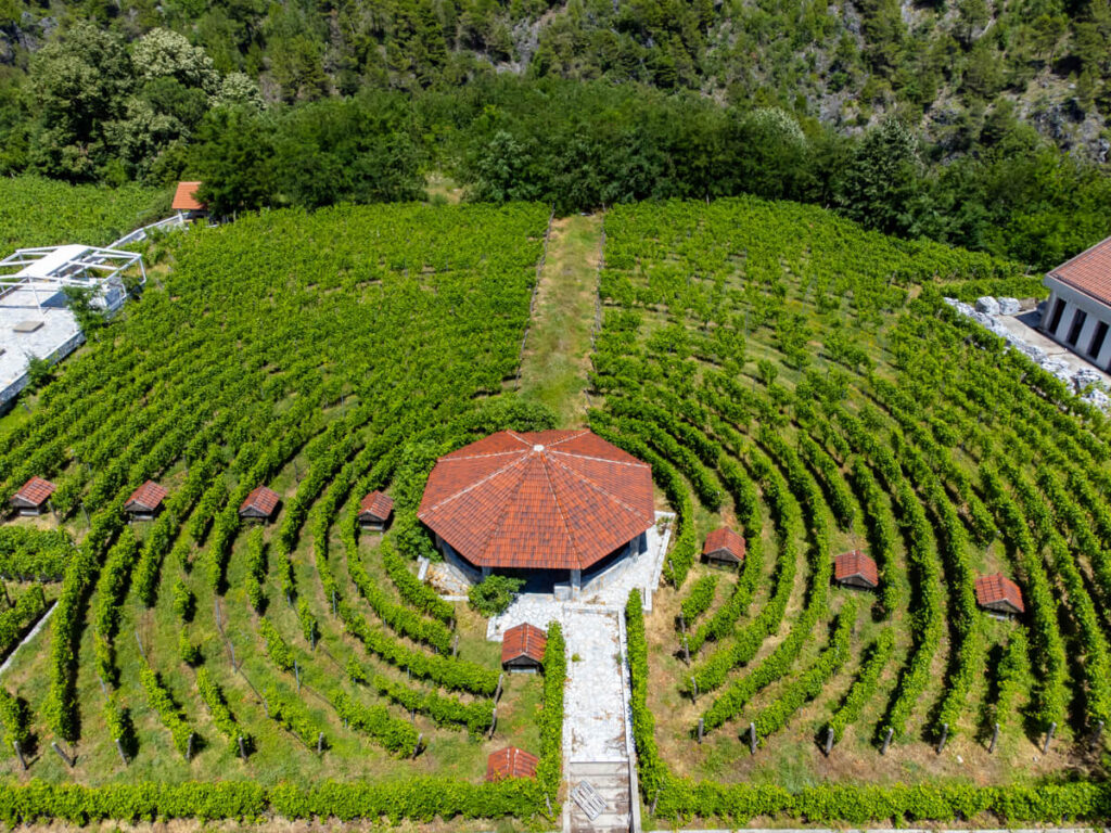 The curved lines of vines at Lipovac Winery as viewed from a drone.