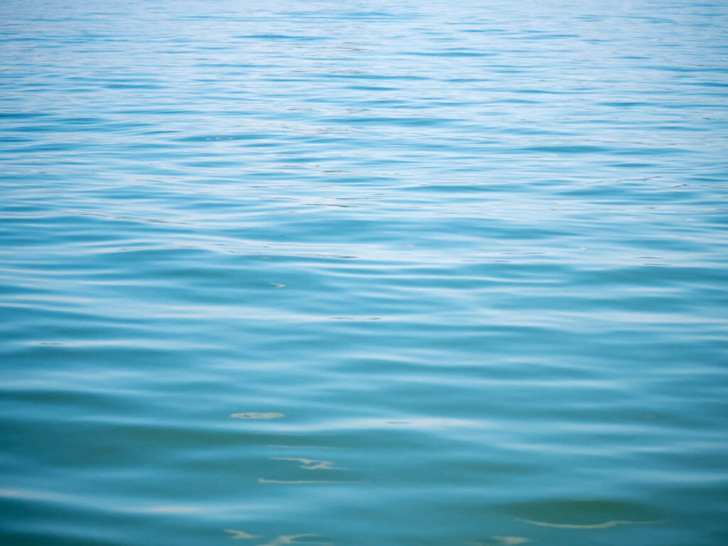 The calm, glossy blue surface of Lake Skadar in Montenegro.