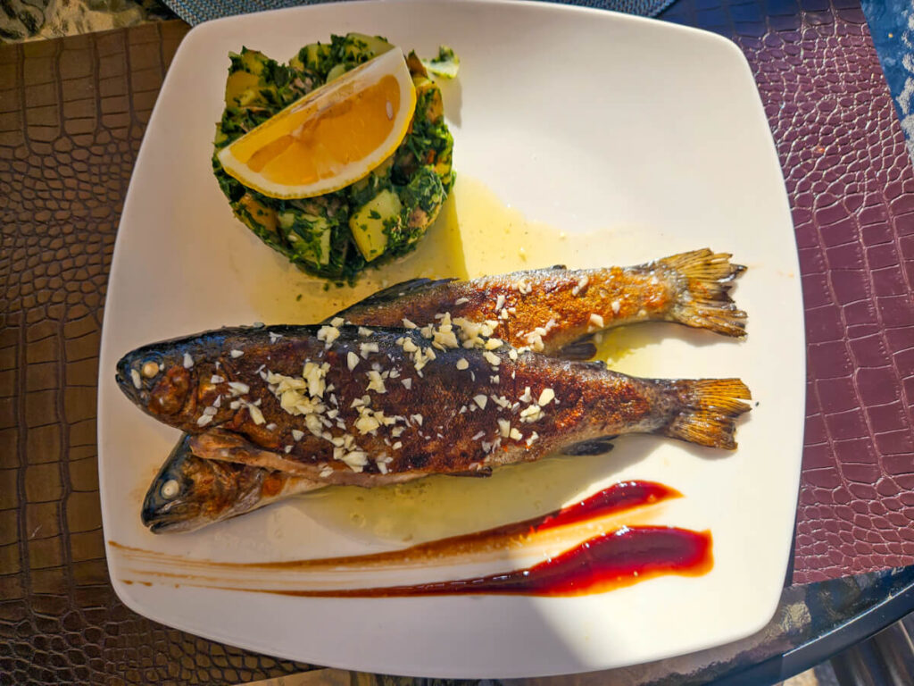 Grilled fish and a vegetarian Dalmatian stew side on a plate.