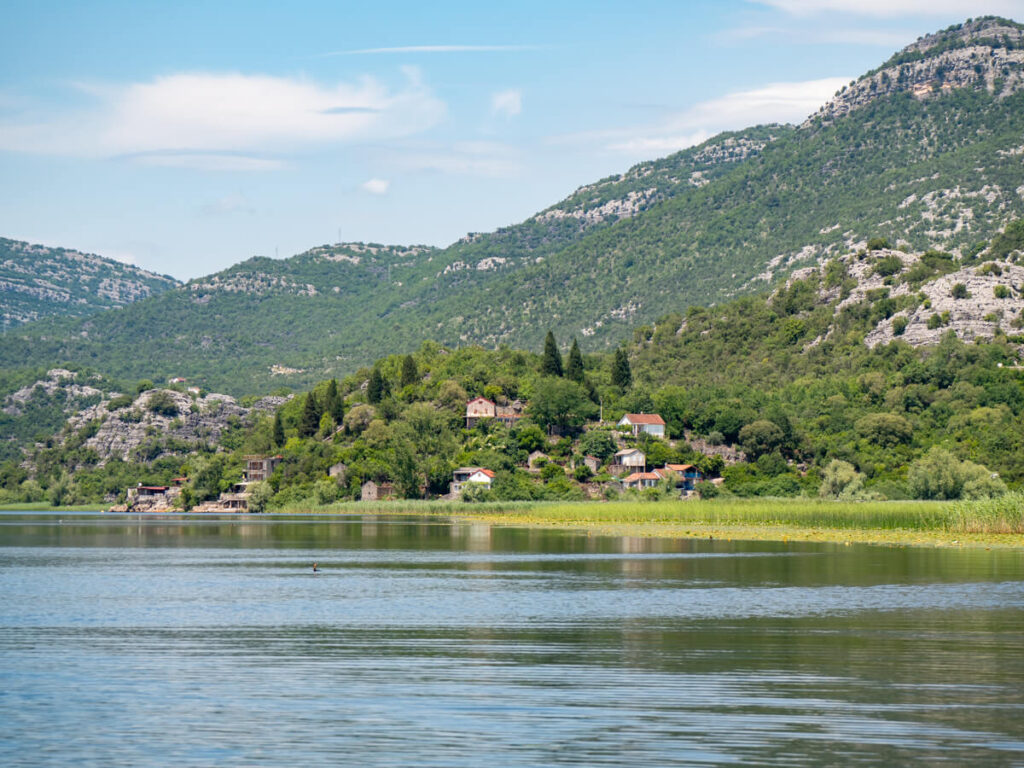 The small settlement of Karuč, where only a handful of people live full time, surrounded by the waters of Lake Skadar.