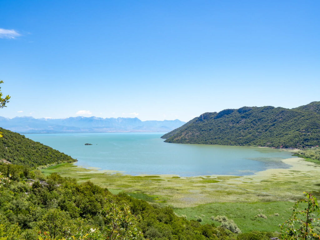 The blue water of Lake Skadar leading to green wetlands, with a tiny island in the distance.