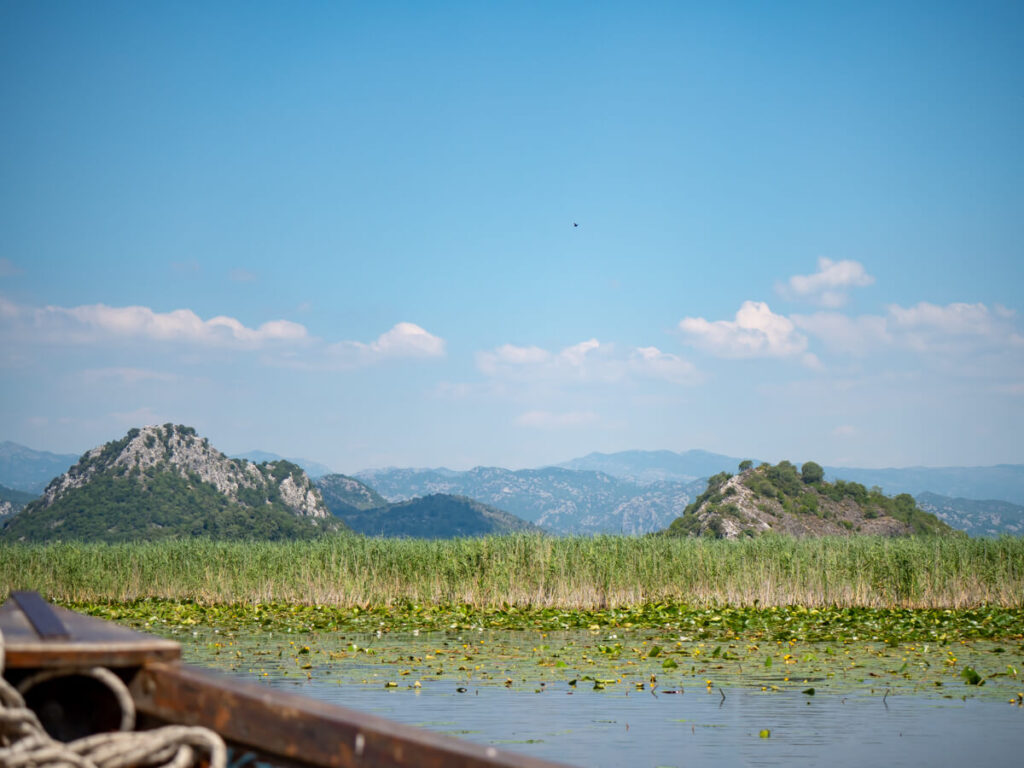 Mountains behind reed beds on the edge of Lake Skadar