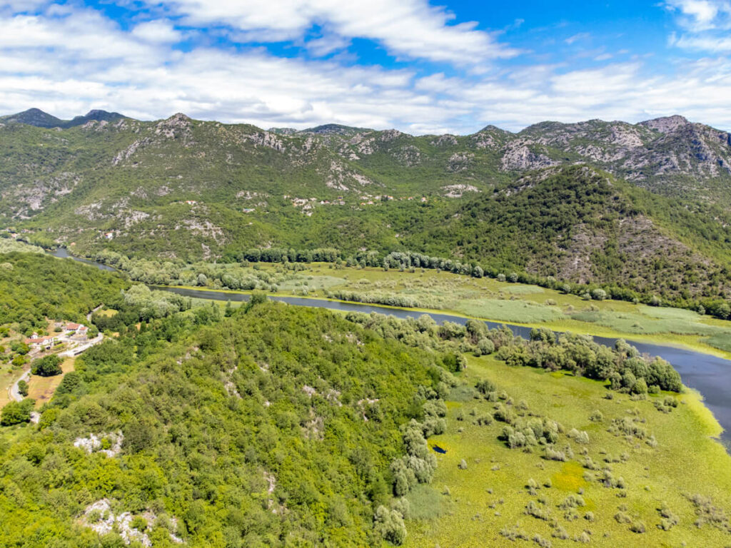 The luscious greenery surrounding a river near Rijeka Crnojevica.