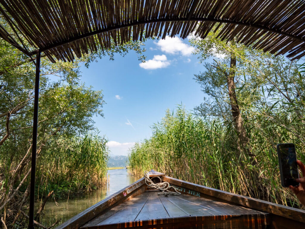 A wooden boat passing through a small channel on Lake Skadar.