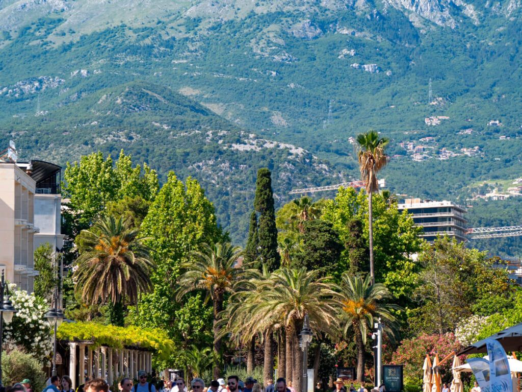 Palm trees lining a busy promenade on a main street in Budva, Montenegro.