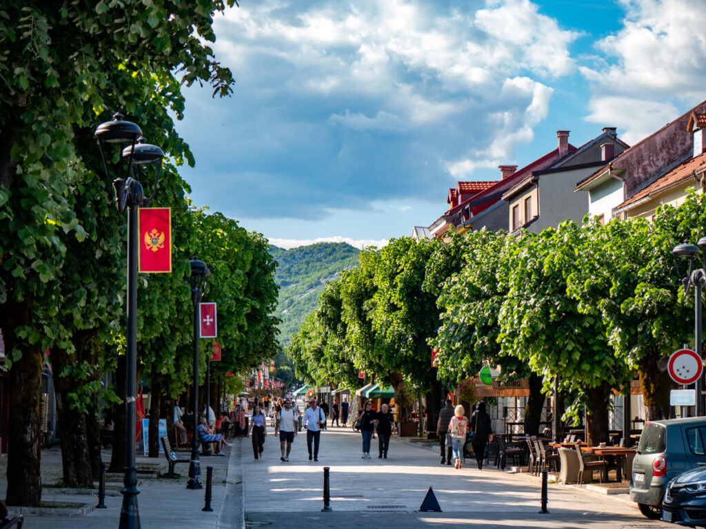 People walking down a leafy, tree-lined street in Cetinje.