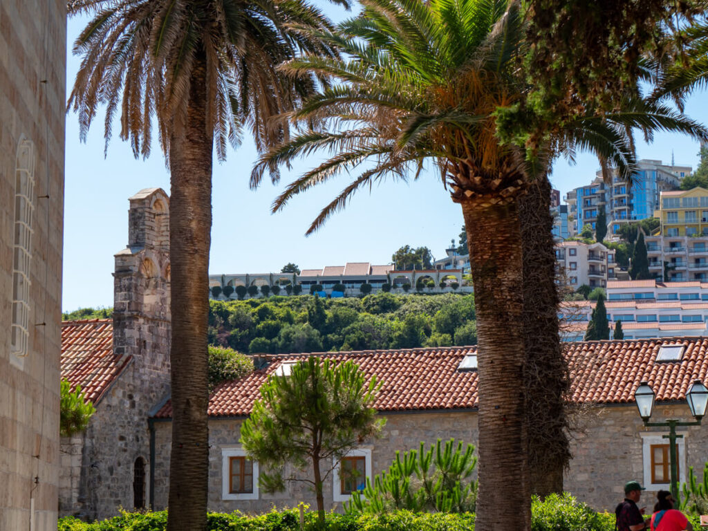 A stone church in Budva Old Town hidden by large palm trees.