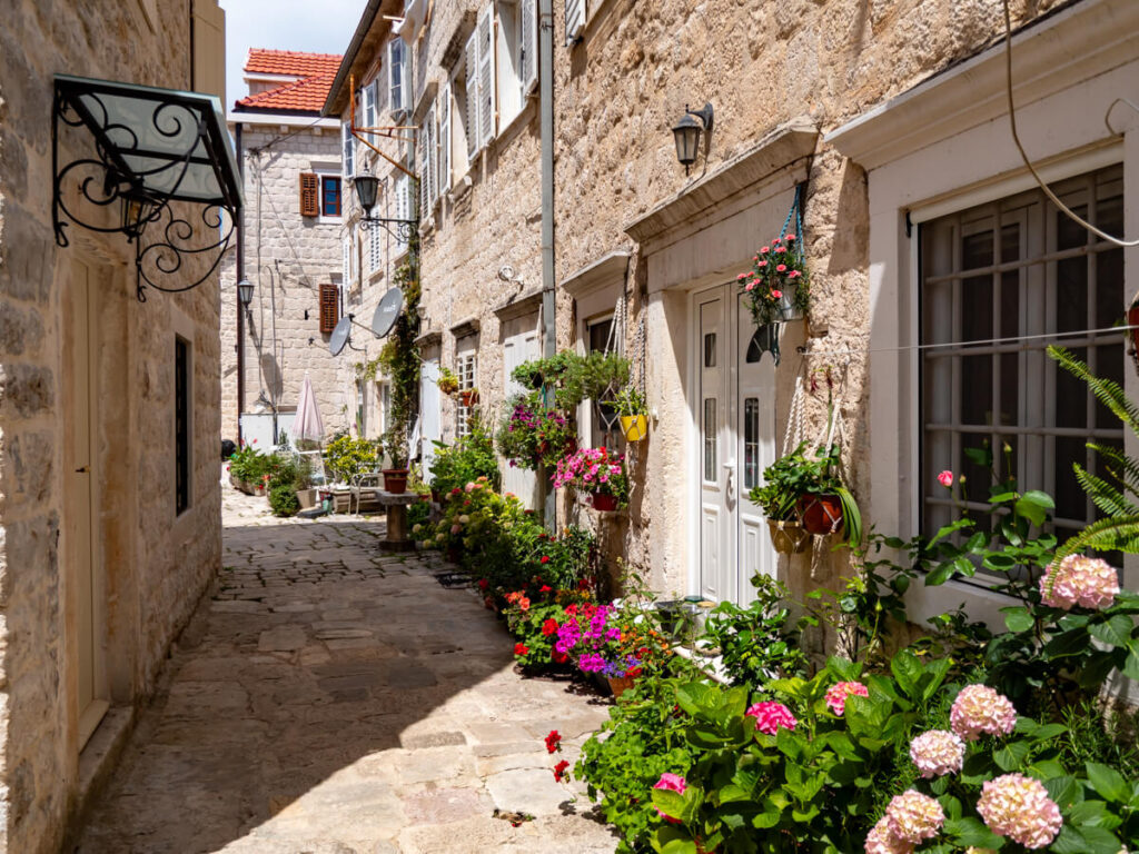 Flowers lining stone houses on a street in Perast, Montenegro.