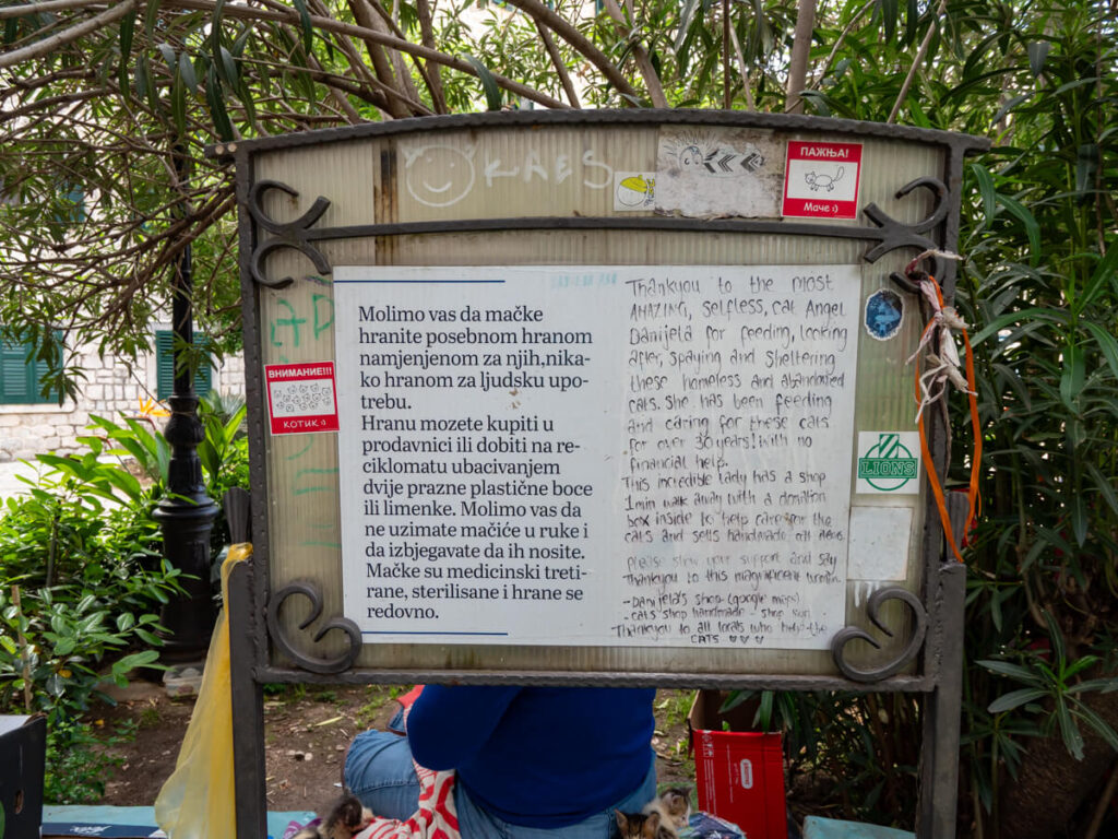 A sign with information about Daniela who cares for cats in Cat Park in Kotor, Montenegro.