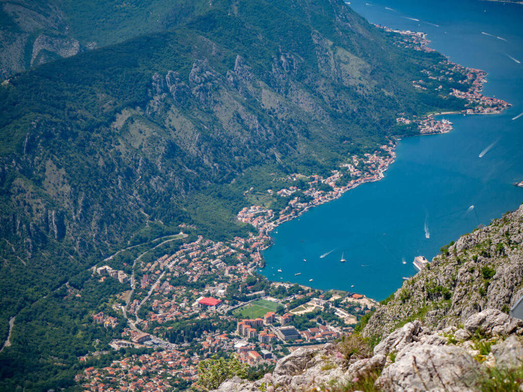 Houses lining the waterfront at the base of green mountains in the Bay of Kotor.