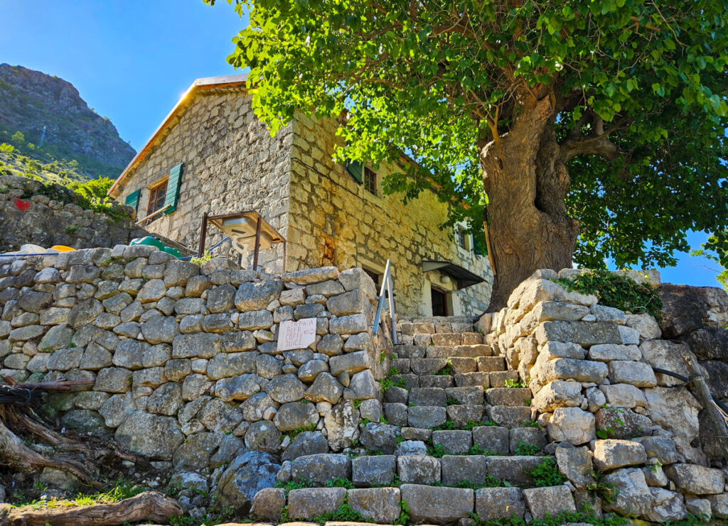 A stone cottage, the famous Cheese Shop, behind a tree on the Ladder of Kotor trail.