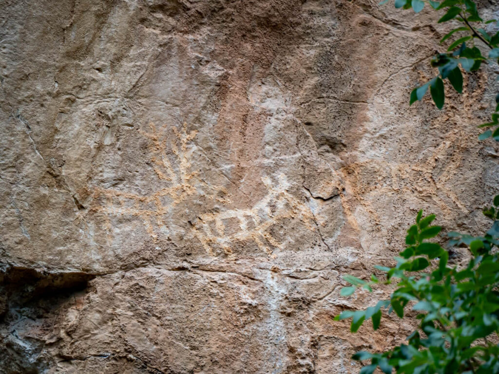 Prehistoric carvings of deer on a cliff in Lipci.