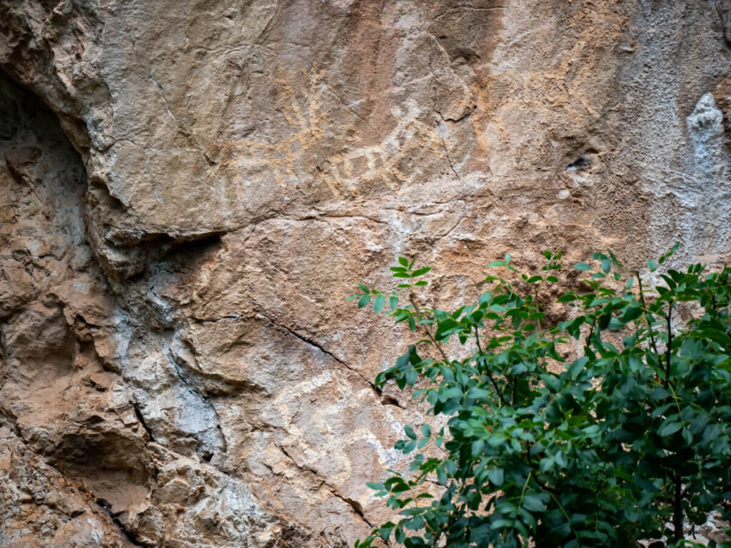 Prehistoric carvings of swastika-like symbols and deer on a cliff in Lipci.