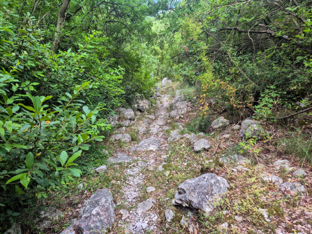 A rocky trail through a forest leading to the Lipci petroglyphs.