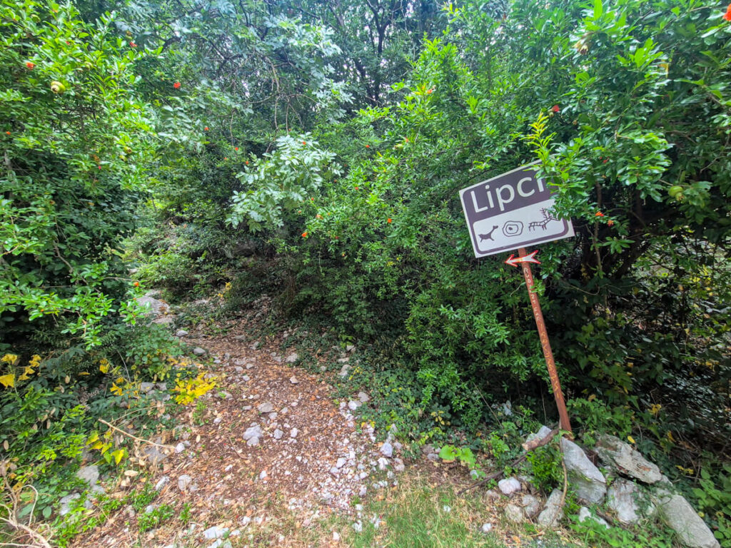 A sign reading "Lipci" pointing down a dirt forest path.