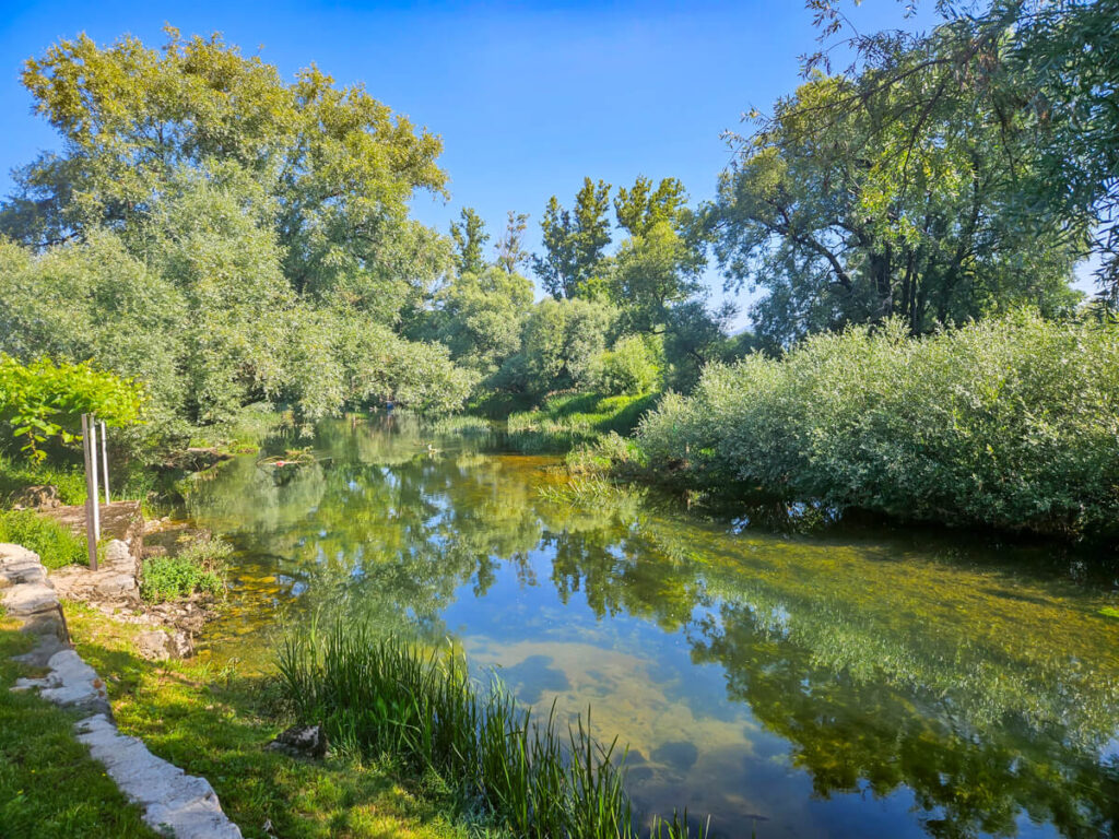 A river surrounded by trees winding past Apartments Manitovac towards Nikšić.