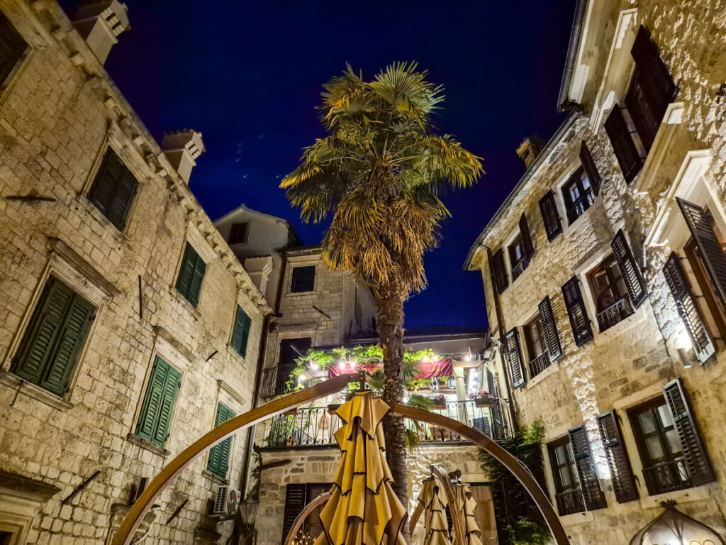 A palm tree at the centre of a square in Kotor old town at night.