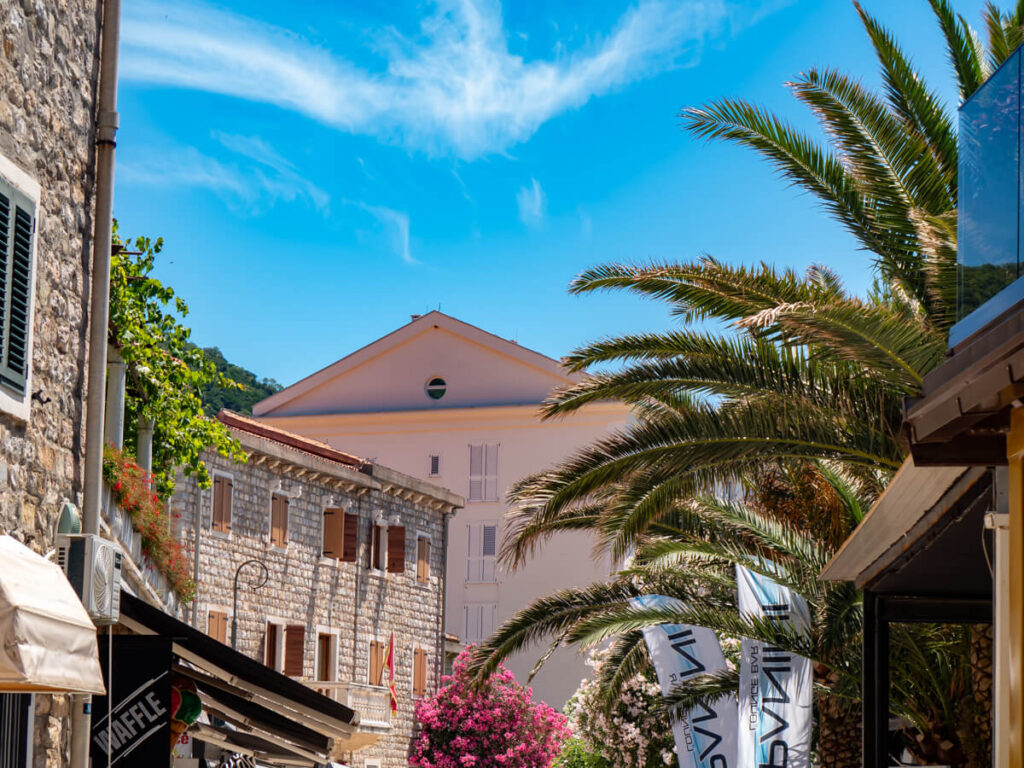 The palm-tree-lined promenade with stone houses in Petrovac.