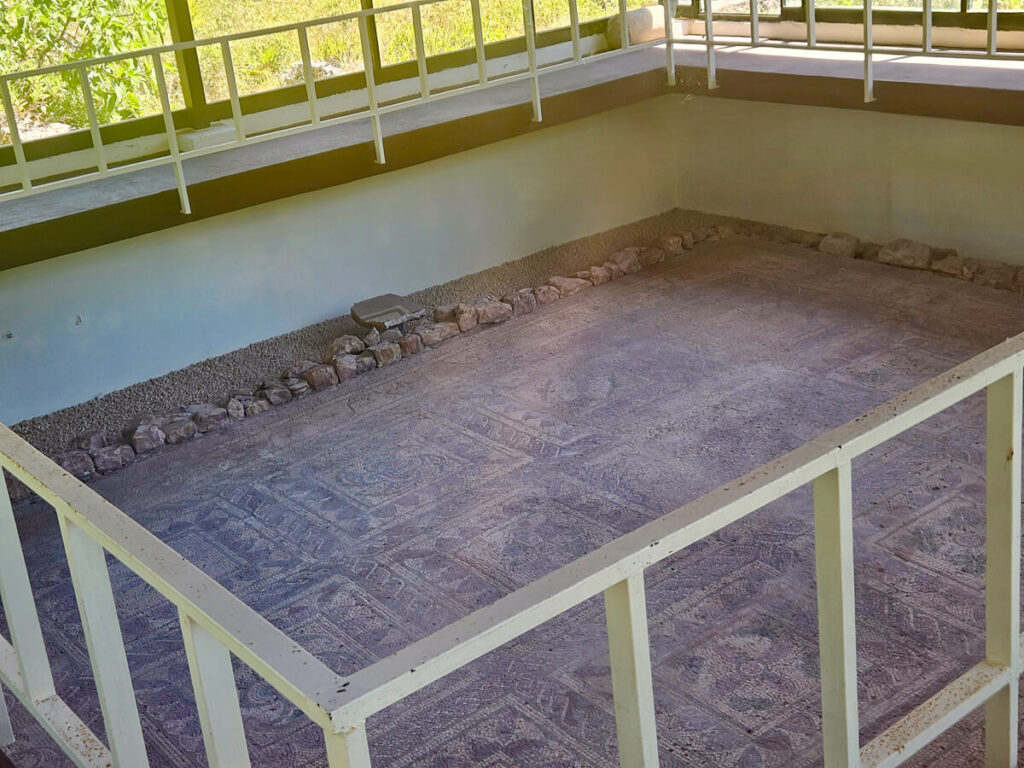 A Roman mosaic in a protective building in Petrovac.