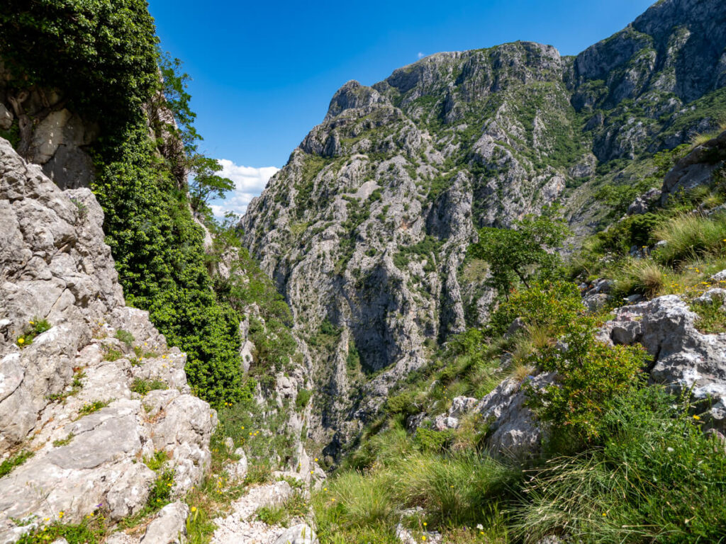 The dramatic Skurda Canyon, viewed from the Ladder of Kotor trail.